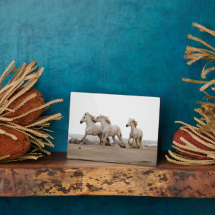 Camargue Horses Running on the Beach Plaque
