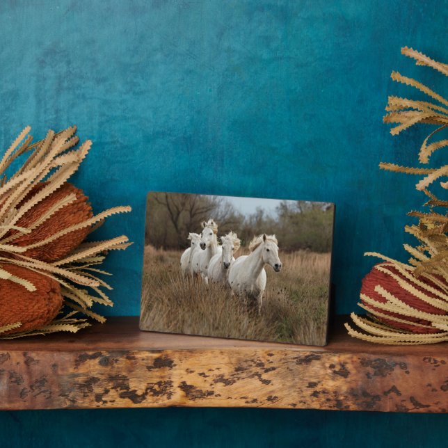 Camargue Horses Running Plaque (Side)