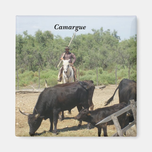 Camargue - magnet (Front)
