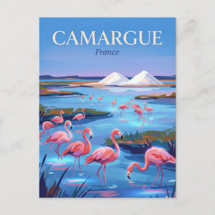 Camargue Regional Nature Park France Postcard