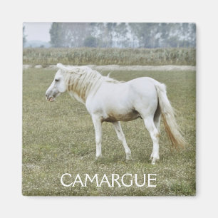 Camargue stallion magnet