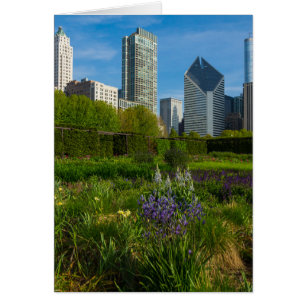Camassia In The City