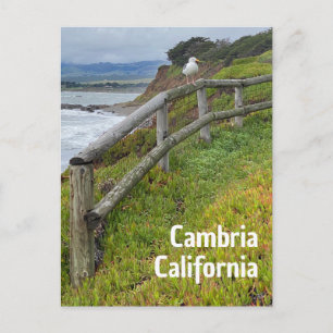 Cambria California Postcard