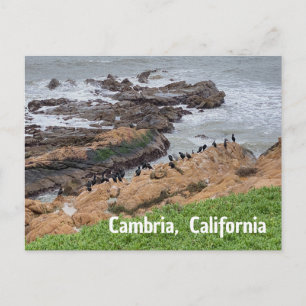 Cambria California Postcard