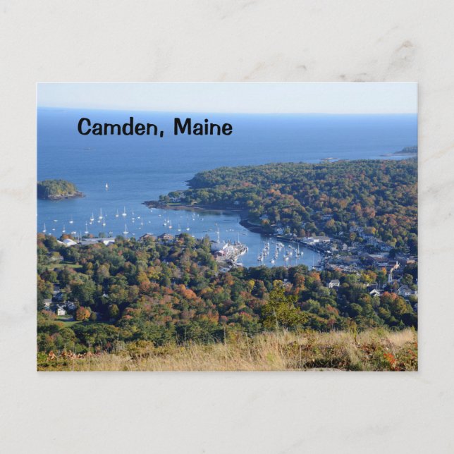 Camden, Maine harbour Postcard (Front)