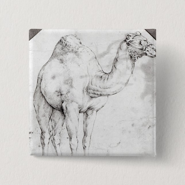 Camel 15 Cm Square Badge (Front)