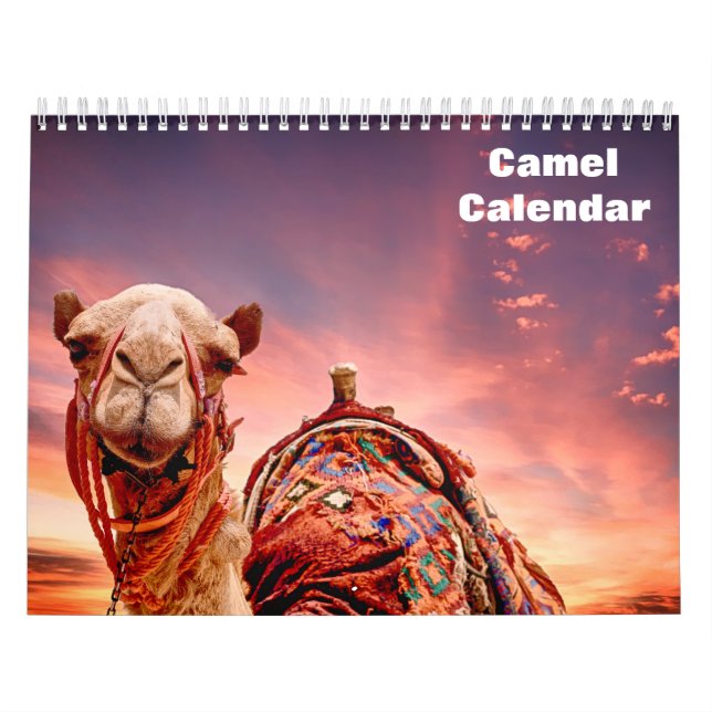 Camel 2027 calendar (Cover)