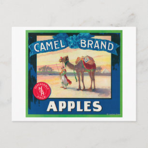 Camel Apple Label - Washington State Postcard