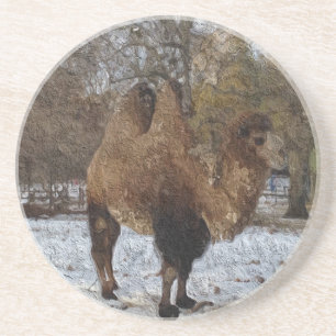 Camel Art Coaster