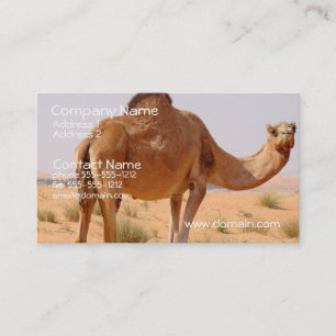 Camel Business Card
