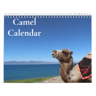 Camel Calendar 2025