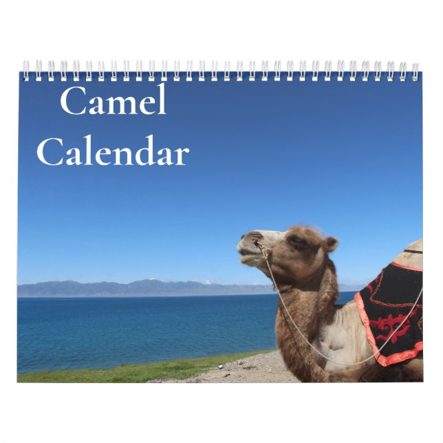 Camel Calendar 2027 (Cover)