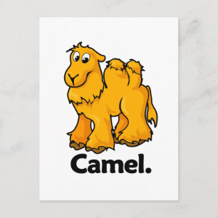 Camel Camel. Postcard