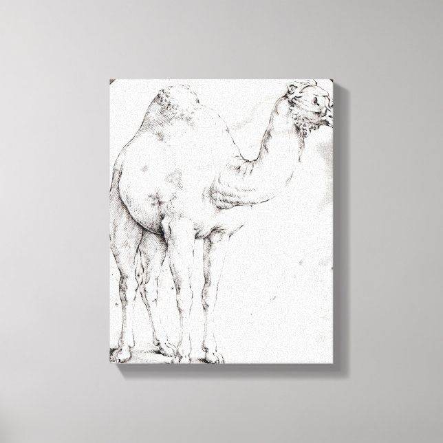 Camel Canvas Print (Front)