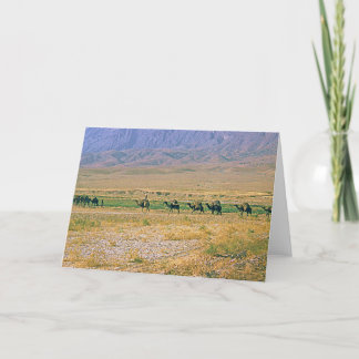 Camel caravan card