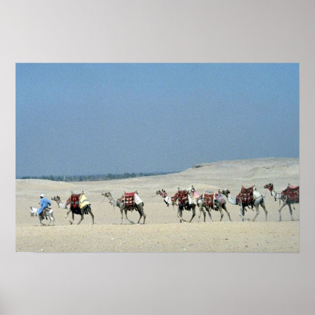 Camel caravan crossing the Sahara Poster (Front)
