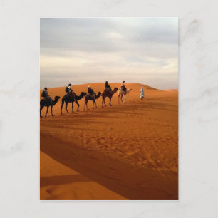 Camel caravan desert beautiful scenery postcard