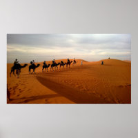 Camel caravan desert beautiful scenery