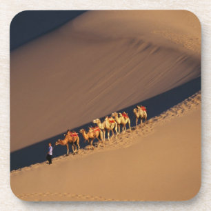 Camel caravan on the desert, Dunhuang, Gansu Coaster