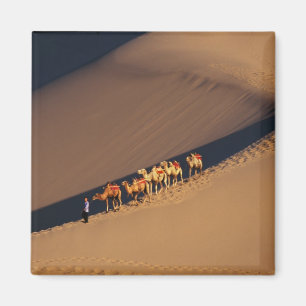 Camel caravan on the desert, Dunhuang, Gansu Magnet
