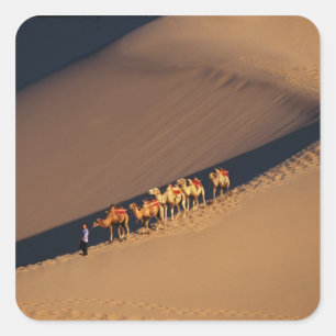 Camel caravan on the desert, Dunhuang, Gansu Square Sticker