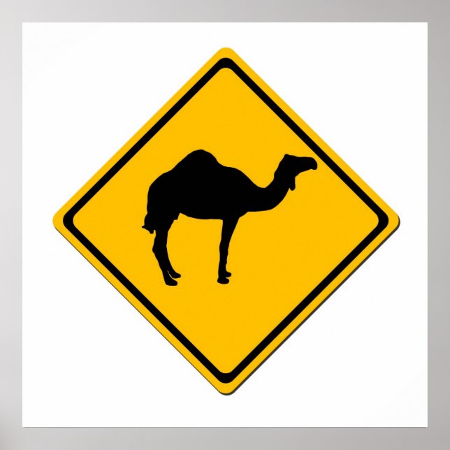 Camel Crossing Poster (Front)