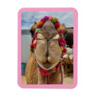 Camel Cuteness Pink Magnet