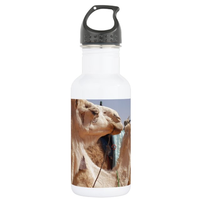 Camel Desert Middle East Peace Love Nature Destiny 532 Ml Water Bottle (Front)