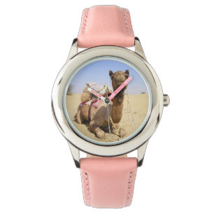 Camel Desert Middle East Peace Love Nature Destiny Watch