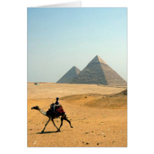 camel desert pyramids