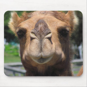 Camel Face Mouse Pad