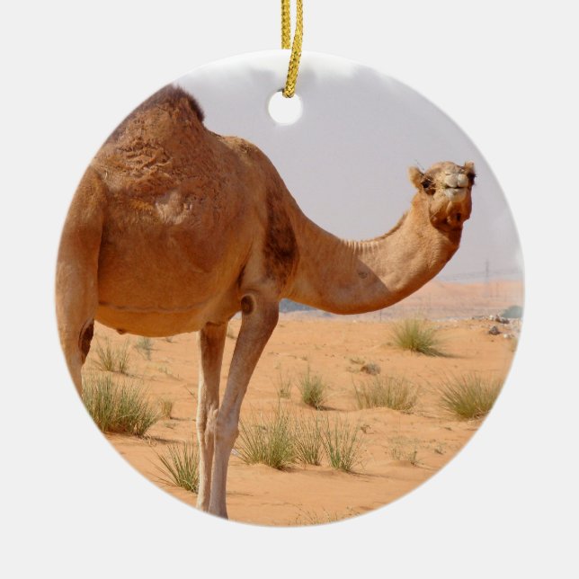 Camel for Arabs Ornament (Front)