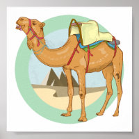 Camel Giza Pyramids
