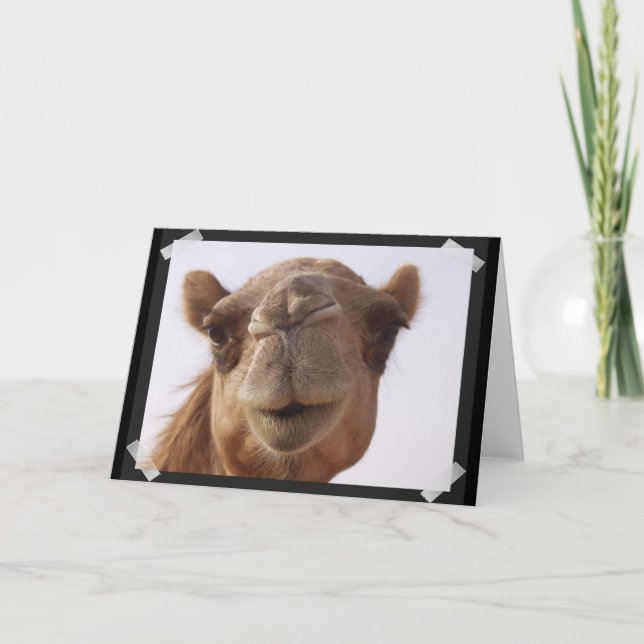 Camel Greeting Card (Front)