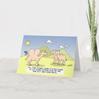 Camel Implants - Birthday