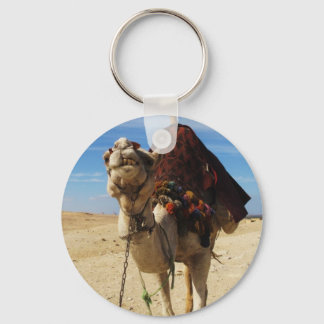 Camel in Egypt photograph Key Ring