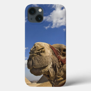 Camel in front of the pyramids of Giza, Egypt, iPhone 13 Case