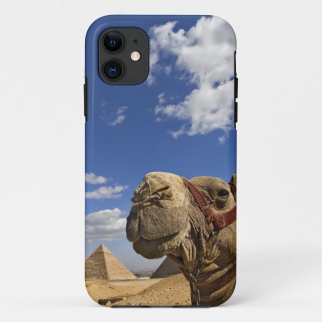 Camel in front of the pyramids of Giza, Egypt, Case-Mate iPhone Case (Back)
