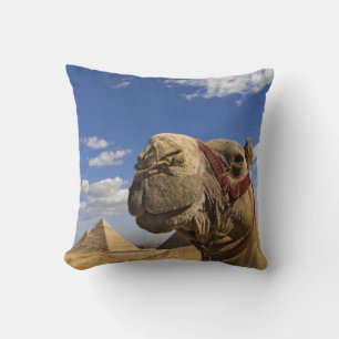 Camel in front of the pyramids of Giza, Egypt, Cushion
