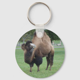 camel key ring