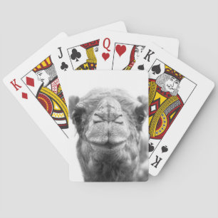 Camel Kisses Fun Closeup Photo Playing Cards