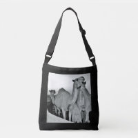 Camel Love