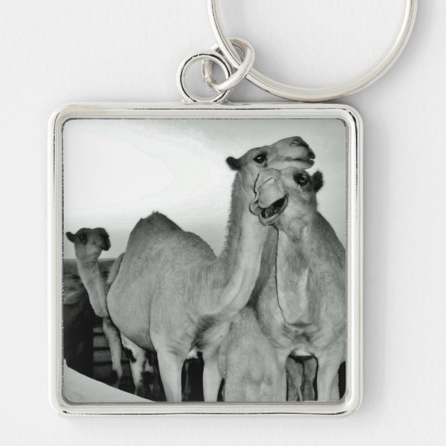 Camel Love Key Ring (Front)