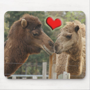 Camel LOVE - NO BOUNDARIES Mouse Pad