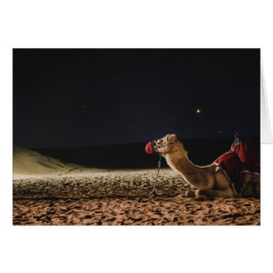 Camel Lying In The Midnight Skies