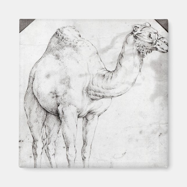 Camel Magnet (Front)