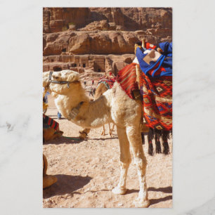 Camel Middle East Nature Animals Destiny Gifts Stationery