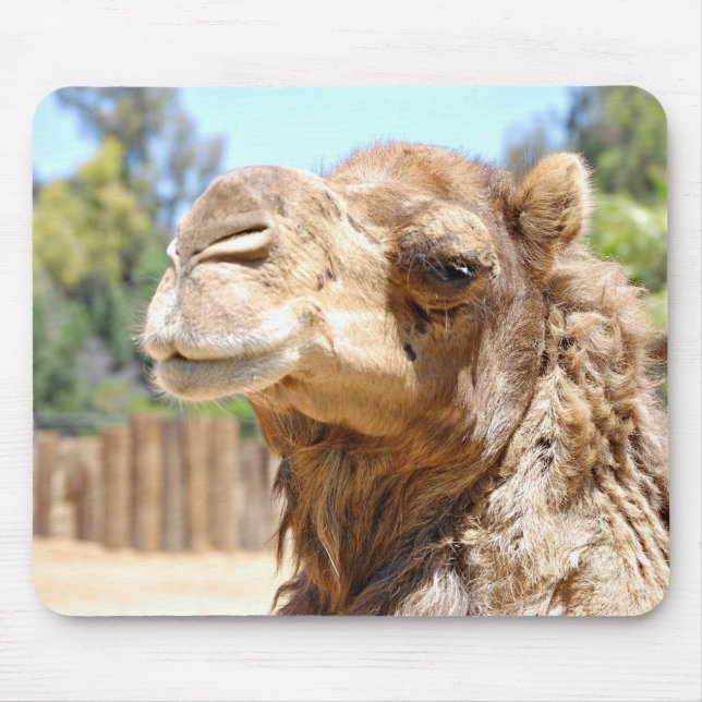 Camel Mousepad (Front)