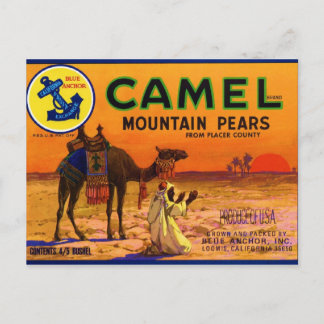 Camel Pears Postcard