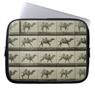 Camel, plate from 'Animal Locomotion', 1887 (b/w p Laptop Sleeve